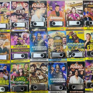 Pen Drive Gravado Com As Melhores 500 musicas ,Forro Pisadinha E Pagoge