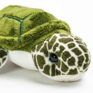 Peluche tartaruga pequena